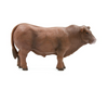 Little Buster Toys - Red Angus Bull