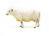 Little Buster Toys - Charolais Cow