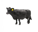 Little Buster Toys - Black Angus Cow