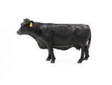 Little Buster Toys - Black Angus Cow