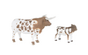 Big Country - Longhorn Cow & Calf