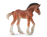 Clydesdale Foal