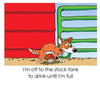 Roadie the Ranch Dog #1