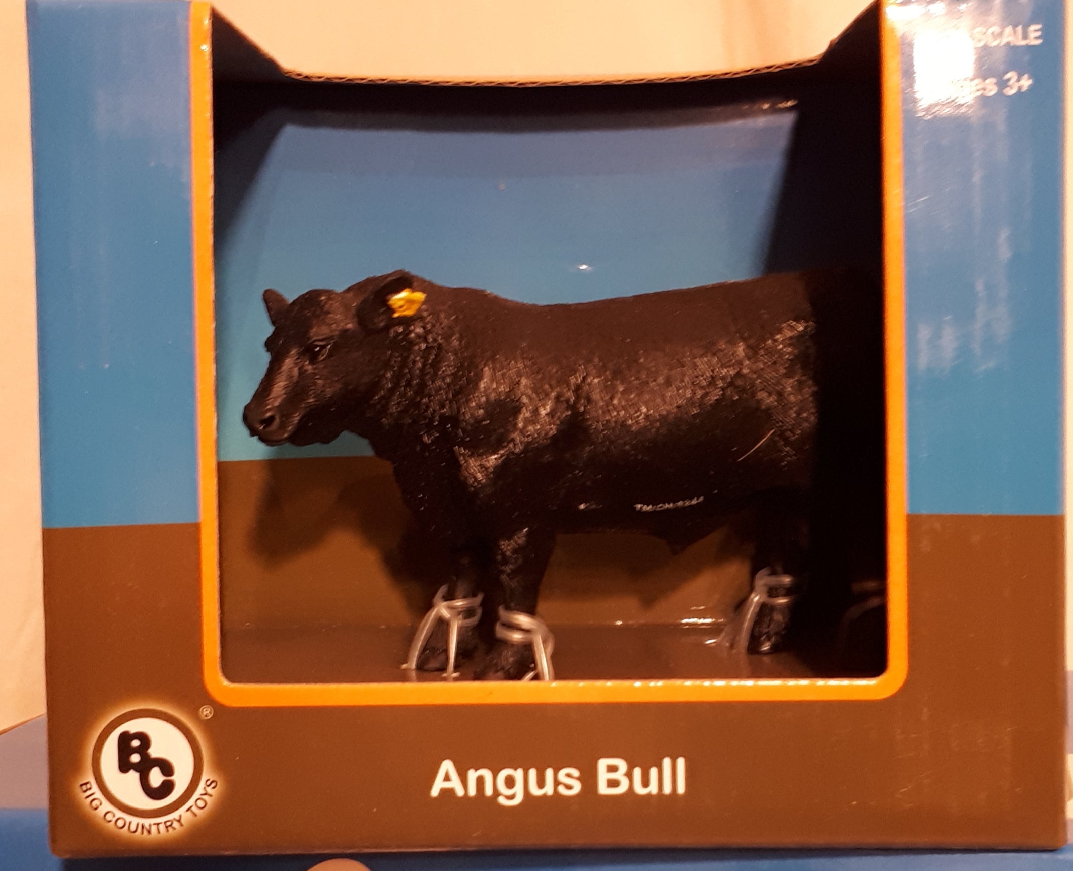 Black Angus Bull